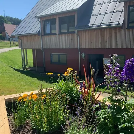 Blackforest Homestay Apartments & Chalet Herrischried Eksteriør billede