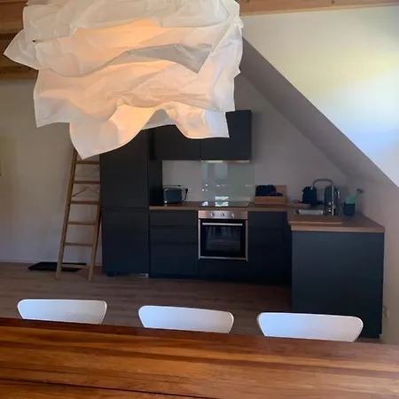 Blackforest Homestay Apartments & Chalet Herrischried Eksteriør billede