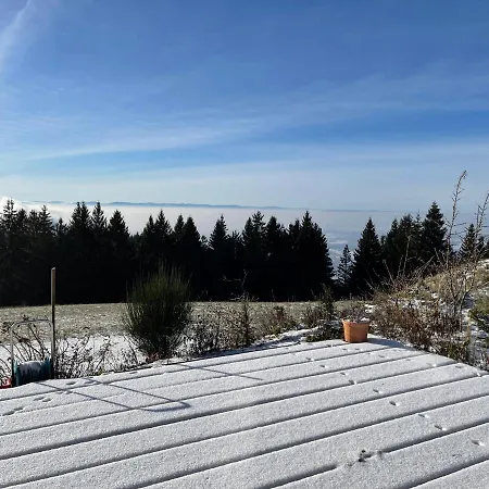 Blackforest Homestay Apartments & Chalet Herrischried Eksteriør billede