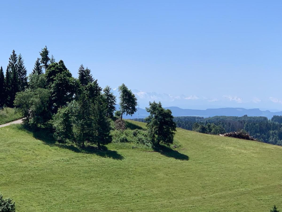 Appartement Blackforest & Herrischried