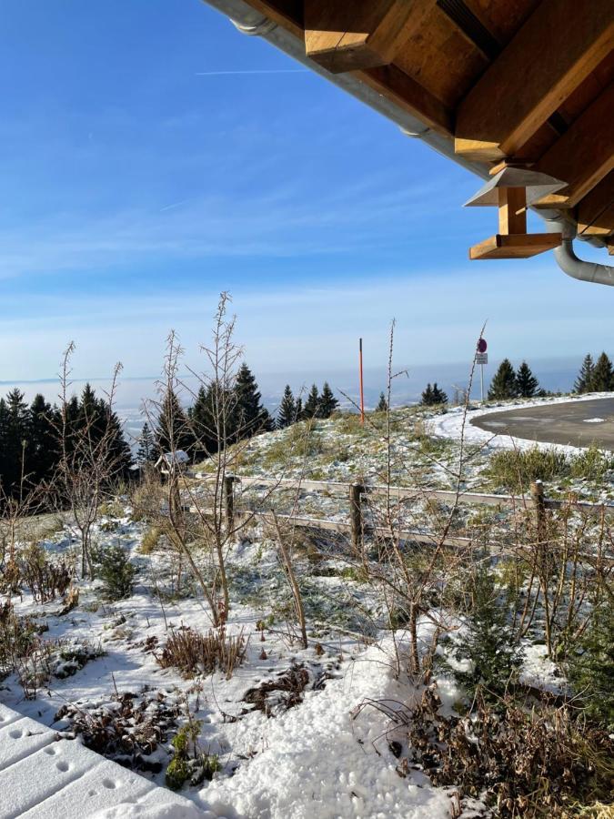 Blackforest & Appartement Herrischried