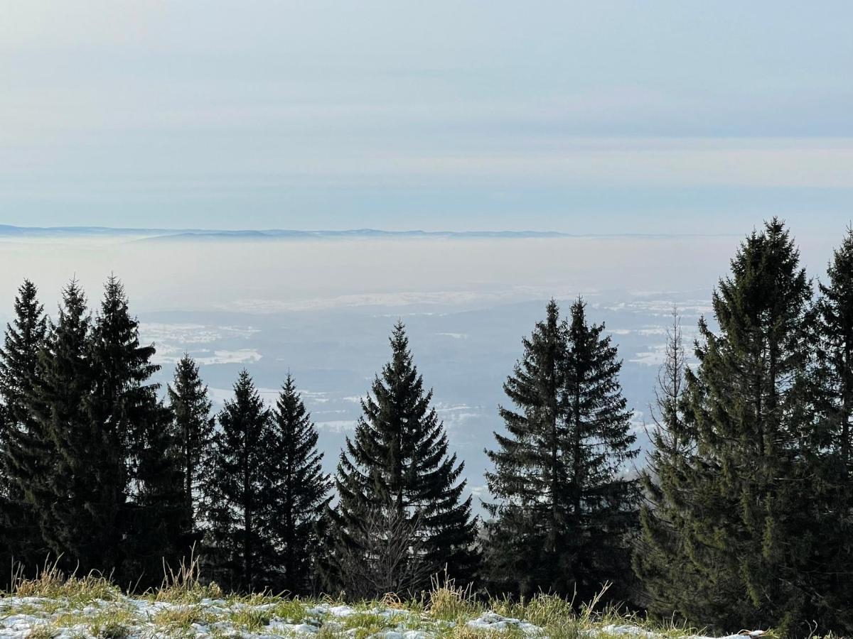Blackforest & * Herrischried