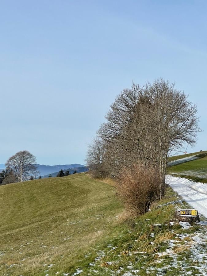 Appartement Blackforest & *